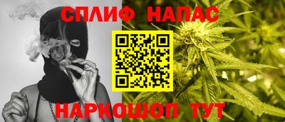 дмт Можайск