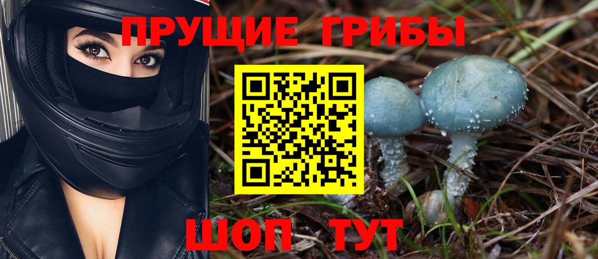 Галлюциногенные грибы MAGIC MUSHROOMS Тверь