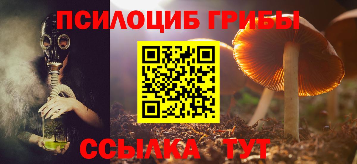Тверь  Галлюциногенные грибы Magic Shrooms  Вход с VPN 